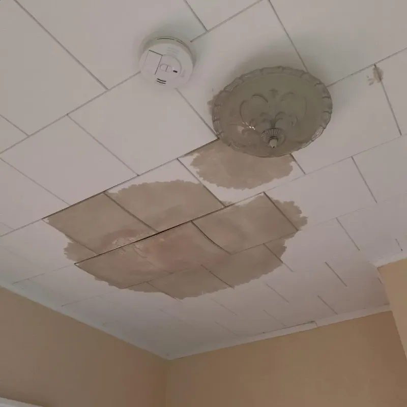 Ceiling Water Damage Repair in Singac, NJ